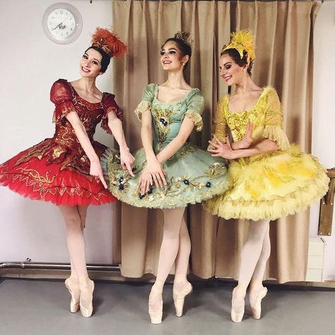 Fairies From Sleeping Beauty, Sleeping Beauty Ballet, Sleeping Beauty Fairies, Sleeping Beauty Costume, Ballet Stuff, Tutu Ballet, Ballet Performances, Professional Ballet, Ballet Aesthetic