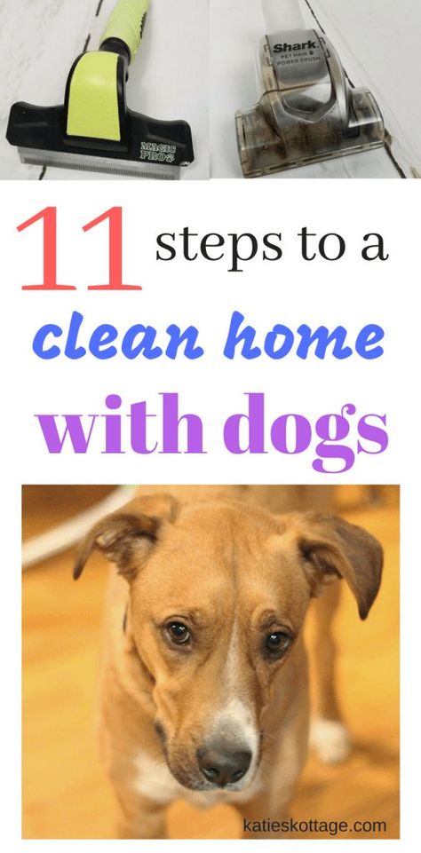 Keeping your house clean when you have dogs. 11 tips to keep the dog hair and dog smells away. #dogowner #cleaningtips Cleaning Hacks Videos, Cleaning Hacks Bathroom, Bedroom Cleaning Hacks, Dog Hair Cleaning, Cleaning Hacks Bedroom, Shower Cleaning Hacks, Dog Mess, Deep Cleaning Hacks, Dog Smells