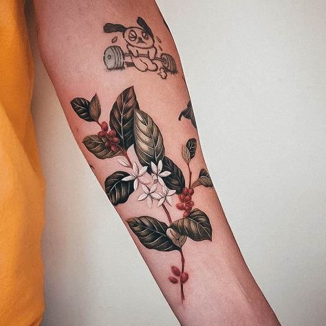 Coffee Plant Tattoo, Tattoo Cafe, Full Tattoo, Torso Tattoos, Laser Removal, Coffee Tattoos, Tattoo Fails, Plant Tattoo, Coffee Flower