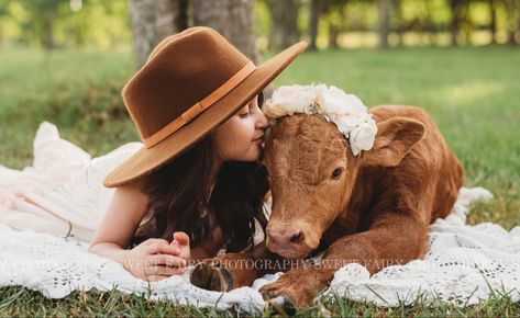 Calf Mini Photoshoot, Calf Photoshoot With Kids, Baby Cow Photoshoot, Mini Highland Cow Photoshoot, Cow Minis Photoshoot, Mini Cow Photoshoot, Calf Photoshoot, Highland Cow Photoshoot, Cow Photoshoot