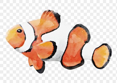 Tropical Drawing, Nemo Fish, Transparent Fish, Fish Watercolor, Sea Illustration, Fish Sea, Watercolor Fish, Clownfish, Clown Fish