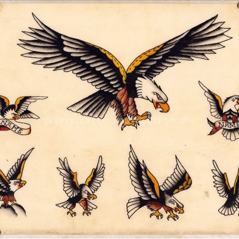 All Vintage Flash – Page 10 – Tattoo Collection Vintage Eagle Tattoo Flash, Eagle Flash Tattoo, 10 Tattoo, Tattoo Reference, Eagle Tattoos, Tattoo Collection, Eagle Tattoo, Vintage Flash, Home Tattoo