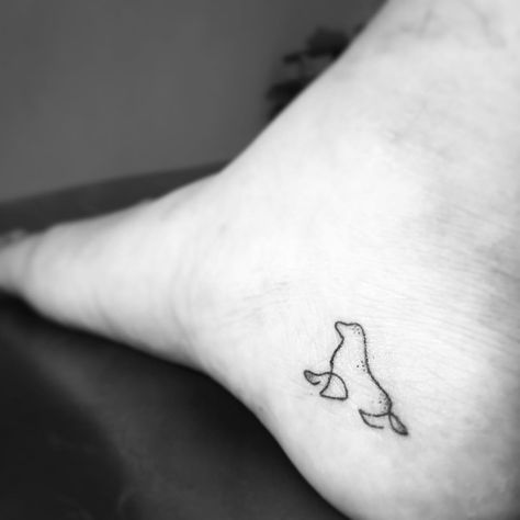 Small Sea Lion Tattoo, Seal Tattoo Small, Walrus Tattoo Cute, Small Seal Tattoo, Cute Seal Tattoo, Fine Line Sea Animal Tattoos, Fine Line Tattoo Animal, Seal Tattoo Simple, Seal Tattoo Design