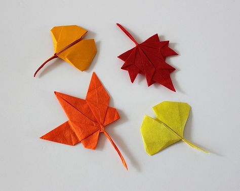 Autumn leaves | Flickr - Photo Sharing!  Love ginko leaves.  From Won Seon Seo flickr site. Origami Fall Leaves, Leaf Origami, Autumn Origami, Origami Leaf, Origami Autumn Leaves, Folded Paper Fall Leaves, Fall Origami, Maple Leaf Paper Craft, Leaf Origami Paper Leaves