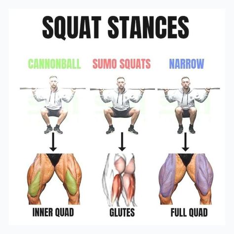 Squat Stances Workout Ectomorph Workout, Fitness Studio Training, Workout Man, Fitness Hacks, Trening Sztuk Walki, Gym Antrenmanları, Workout Bauch, Squat Workout, Muscle Building Workouts