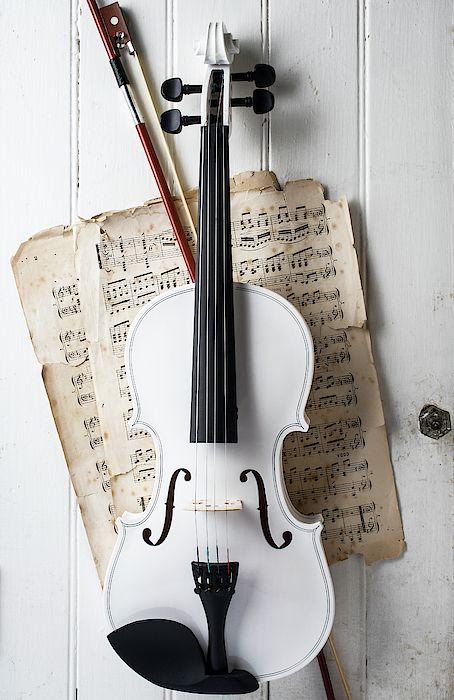 White Violin, Violin Photography, Violin Instrument, Violin Art, Violin Design, Instruments Art, Broken Dreams, White Door, Violin Music