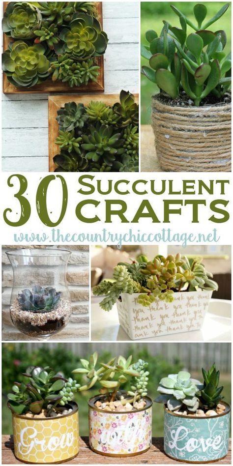 Get 30 amazing succulent crafts all in one place. Get inspired to add succulents to your home decor whether artificial or live. Succulent Crafts, Fake Succulents, Country Chic Cottage, Succulent Gardening, Succulents In Containers, Chic Cottage, Succulent Terrarium, Cactus Y Suculentas, Succulents Diy