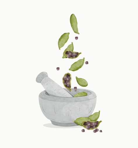 Indian Spices Illustration, Cardamom Illustration, Plants Activity, Spices Illustration, Hoodie Art, Logo Online Shop, Green Cardamom, Plant Activities, Furniture Design Sketches