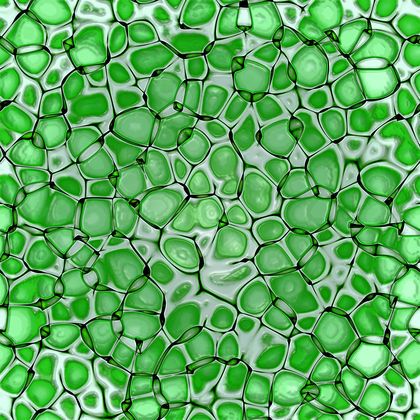 Differentiation In Plants 3809 Biology Wallpaper, 3d Plant Cell, Plane Geometry, Animal Cells, Plant Cells, Animal Cell, Paper Background Design, Eden Project, Plant Cell