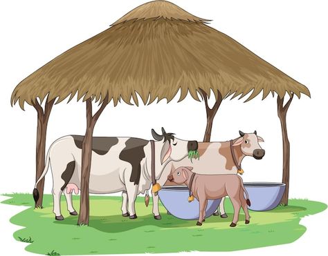 Vector vector illustration showing cows ... | Premium Vector #Freepik #vector #cow #cow-farm #cattle #farmer-cartoon Indian Farm Illustration, Pictures Of Farms, Cow Images Indian, Cow House Farms, Cattle Drawing, Cows Cartoon, Cow Shelter, Cow Shed Design, Cow Cartoon Images