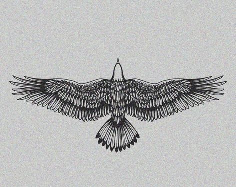 Middle Chest Tattoo, Eagle Back Tattoo, Eagle And Snake, Small Eagle Tattoo, Tattoos Cool, Nape Tattoo, Artsy Tattoos, Vogel Tattoo, Hawk Tattoo