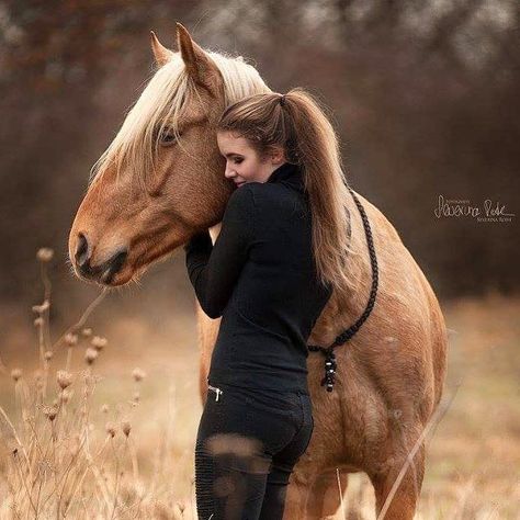 How To Feel Happy, Horse Facts, Funny Horses, Horse Grooming, Grey Horse, Horse Owner, Equestrian Life, Feel Happy, Equine Photography