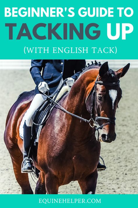 Knowing how to tack up your horse correctly is essential if you want to keep both you and your horse safe when you're horseback riding. In this guide, we teach you step-by-step to tack up your horse the right way. #horsetack #englishtack #horsebackriding How To Tack Up A Horse English, How To Tack Up A Horse, How To Tack A Horse, Tacking Up A Horse, English Horseback Riding, Horse Education, Horse English, Trail Riding Horses, Horse Ownership