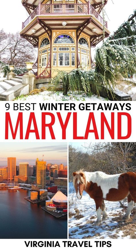 Things To Do In Maryland In Winter, Maryland Travel Places To Visit, Maryland Vacation Ideas, Dc In Winter, Places To Visit In Maryland, Things To Do In Maryland, Saint Michaels Maryland, Winter Places, Maryland Travel