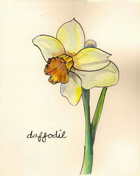 Daffodil Watercolor, Tattoo Fairy, Tattoo Collection, Daffodil Flower, Awesome Tattoos, Watercolor Projects, Watercolor Flower Art, Watercolor Painting Techniques, Watercolor Flowers Paintings