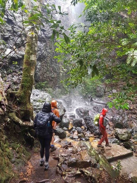 Rainy Hike, Beginner Hiker, Forest Bathing, Twin Falls, Granola Girl, A Rainy Day, Photography Skills, Natural Phenomena, Picnic Area