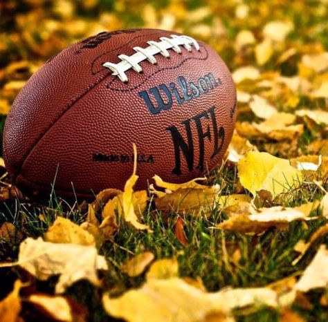 Wilson NFL football Thanksgiving Screensavers, How To Hang Garland On Mantel, Thanksgiving Backgrounds, Nfl Thanksgiving, Simple Thanksgiving Table, Christmas Garland Mantle, Green Christmas Tree Decorations, Ideas For House, Football Poses