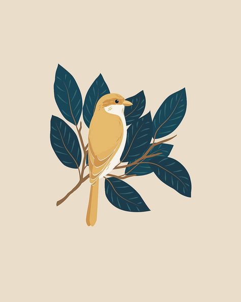 Yellow bird digital illustration. Illustrator, graphic design, art print, botanical, bird, tropical bird Yellow Bird Art, Bird Graphic, Office Outdoor, Bird Artwork, Yellow Bird, Yellow Art, Bird Drawings, Bird Illustration, Mini Canvas Art