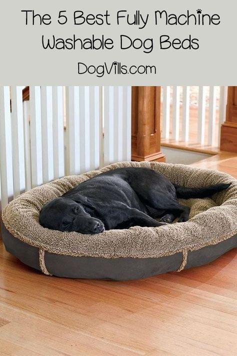 Dog Bed Minecraft, Bed Minecraft, Comfy Dog Bed, Dog Grooming Shop, Cool Dog Houses, Paracord Dog Collars, Washable Dog Bed, Dog House Diy, Diy Dog Bed