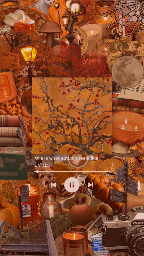 IT’S SPOOKY SEASON 🎃👻 #jvke #fall #fallaesthetic #autumn #autumnaesthetic #orange #orangeaesthetic #wallpaper Famous Music Artists, Fall Songs, Best Music Artists, The Golden Boy, Music Poster Ideas, Friend Challenges, Orange Aesthetic, Fall Feels, Cool Wallpapers Art