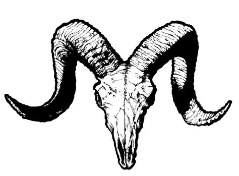 Bighorn Sheep Tattoo, Horn Tattoo, Western Tattoo, Skull Template, Sheep Tattoo, Sheep Skull, Big Horn Sheep, Goat Skull, Bighorn Sheep