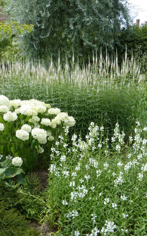 white garden Moon Garden, Have Inspiration, White Gardens, Gorgeous Gardens, Garden Cottage, Country Gardening, Garden Gates, Garden Spaces, Front Garden