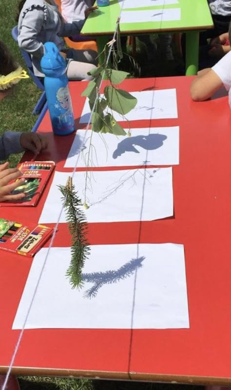 Reggio Emilia Outdoor Activities, Forest Activity For Preschool, Forest Preschool Activities, Forest Activities For Preschool, Forest Activities For Kids, Preschool Nature Activities, Outdoor Preschool Activities, Reggio Emilia Activities, Nature Activities Preschool