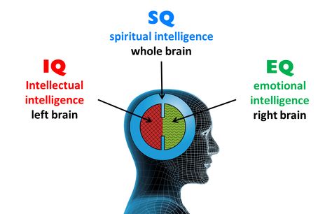 Spiritual Intelligence Spiritual Intelligence, Left Brain Right Brain, Psychology Terms, Good Leadership Skills, Self Help Skills, Brain Facts, Learn Photo Editing, History Facts Interesting, Right Brain