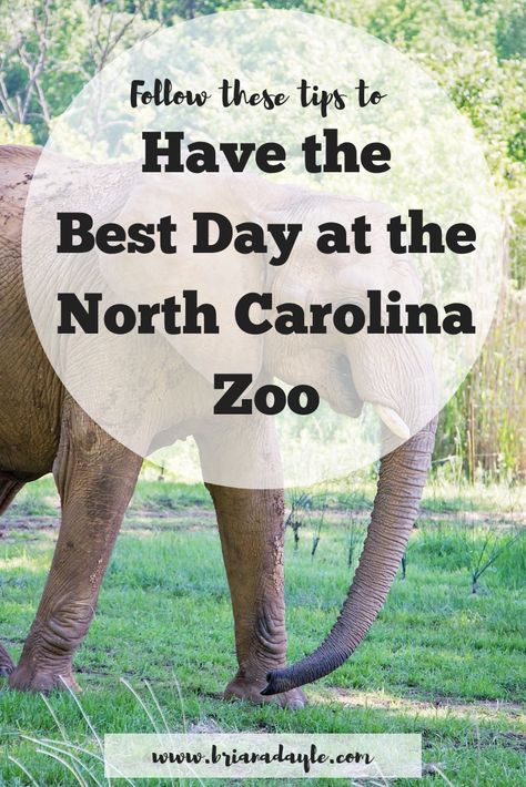 Places To Take Toddlers, Toddler Journal, Asheboro Nc, Zoo Trip, Vacations In The Us, Have The Best Day, Family Summer Vacation, 50th Bday, Budget Vacation