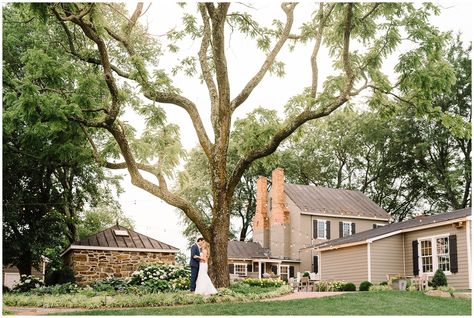 MEGAN + PHILLIP // FLEETWOOD FARM WINERY SUMMER WEDDING, LEESBURG, VIRGINIA PHOTOGRAPHER KRYSTA NORMAN Fleetwood Farm Winery Wedding, Leesburg Virginia, Winery Weddings, Travel Prints, Fine Art Wedding, Wedding Portraits, Summer Wedding, Travel Blog, Virginia