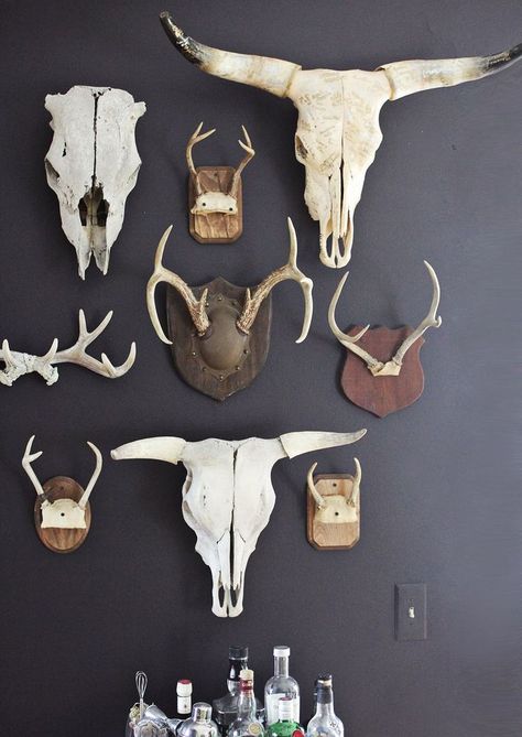 charcoal walls... that would require some seriously good natural light. but man it looks swell! Charcoal Walls, Bohol, First Apartment, Beautiful Mess, Animal Skulls, Animal Heads, Boho Wall Decor, Apartment Ideas, Hippie Chic