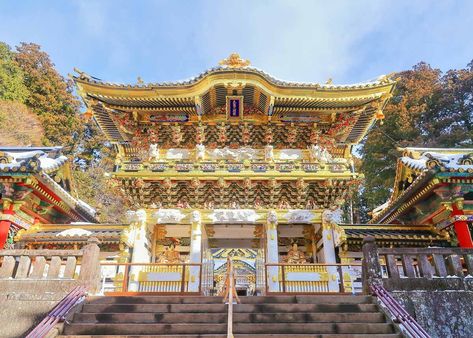 ©  Visit Nikko , Toshogu Shrine Toshogu Shrine, Natural Science Museum, Japanese Countryside, Day Trips From Tokyo, Traditional Japanese Architecture, Himeji Castle, Traditional Japanese House, Japanese Architecture, Nikko