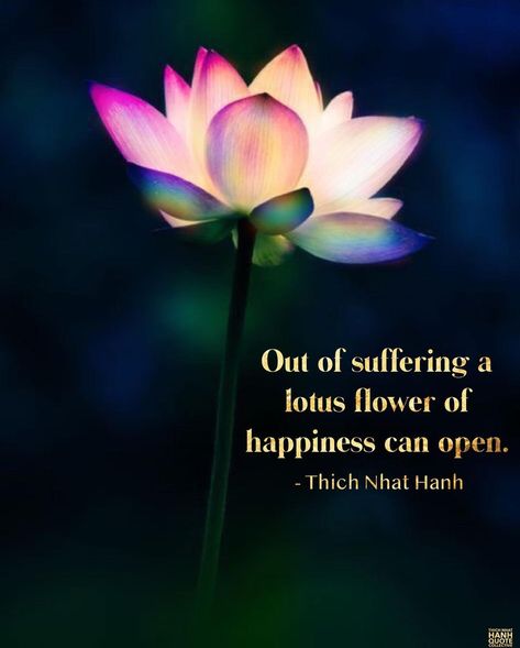 Lotus Flower Quotes Buddha, Lotus Flower Quotes Inspirational, Lotus Sayings, Lotus Quotes Inspiration, Lotus Quotes, Lotus Meaning, Congratulations Messages For Achievement, Lotus Flower Quote, Lotus Quote