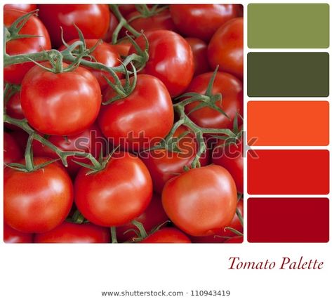 Find Tomatoes Background Colour Palette Complimentary Swatches stock images in HD and millions of other royalty-free stock photos, illustrations and vectors in the Shutterstock collection.  Thousands of new, high-quality pictures added every day. Pallete Color, Tomato Color, Meat Chili, Easy Cheese Recipes, Retro Painting, Clean Eating Lunch, Color Mixing Chart, Color Palette Challenge, Easy Asian Recipes