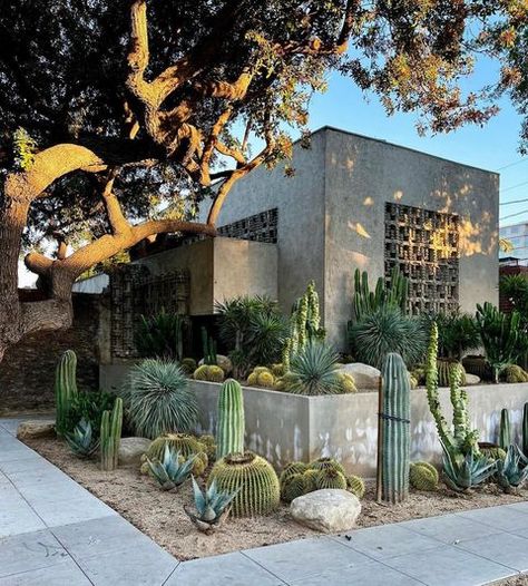 Eric Wright, Desert Plants Landscaping, Desert Landscape Front Yard, Dalton Gomez, Concrete Pattern, Desert Landscape Design, Cactus Garden Landscaping, Desert Backyard, Residential Exterior