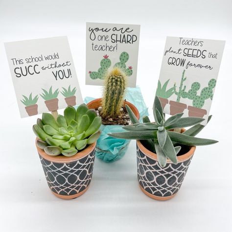 Teacher appreciation plant gifts with printables Plant Teacher Appreciation Gifts, Teacher Appreciation Plant Gifts, Plant Teacher Gift, Teacher Plant Gift Ideas, Succulent Teacher Gift, Easy Teacher Appreciation Gifts, Teacher Happies, Teacher Appreciation Plant, Pear Ideas