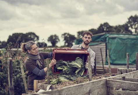 Composting Business, Green Business Ideas, Green Business, Composting, Pros And Cons, Herbs, Couple Photos, Green