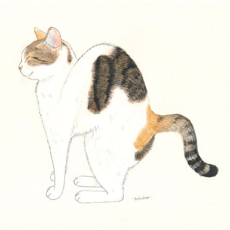 This charming drawing captures one of the most endearing cat behaviors - the morning stretch! Using simple lines, it depicts a feline arching its back after waking from a cozy nap. Cat lovers will smile recognizing this familiar scene. The basic style makes it an easy intro to drawing cats for beginners who want to practice sketching cute kitties. An uplifting piece perfect for any cat parent who loves watching their furball's daily stretching routine! Drawing Of Cat, Cat Drawing Ideas, Practice Sketching, Daily Stretching, Daily Stretching Routine, Draw Cats, Good Morning Cat, Morning Stretch, Smile Drawing