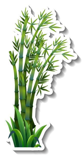 Bamboo tree sticker on white | Free Vector #Freepik #freevector #tree #wood #leaf #nature Bamboo Cake Ideas, Paper Flowers Diy Easy, Wood Leaf, Photo Cake Topper, Tree Sticker, Panda Birthday, Idee Cricut, Creative Kids Crafts, Panda Party