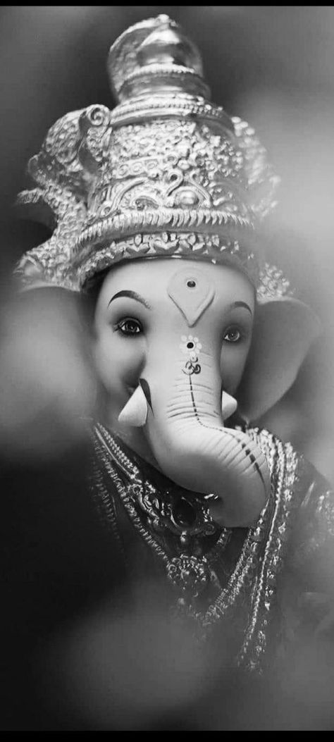 Indian God, Ganesha, Hd Wallpaper, Elephant, White, Black