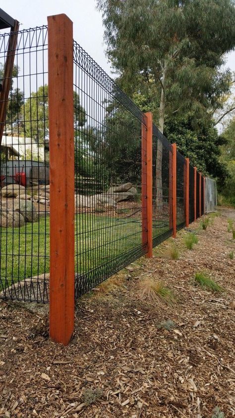 Cheap Tall Fence Ideas, Garden Gate Design Wood Fences, Budget Friendly Fence Ideas, Fences That Don't Obstruct View, Large Property Fence Ideas, Temporary Privacy Fence Ideas, Diy Cheap Privacy Fence, Affordable Fence Ideas, Cheapest Fence Ideas