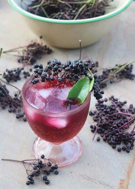 Elderberry Drink Recipes, Elderberry Cocktail, Elderberry Syrup Uses, Homemade Elderberry Syrup, Elderberry Wine, Elderberry Syrup Recipe, Homemade Elderberry, Elderberry Recipes, Cocktail Syrups