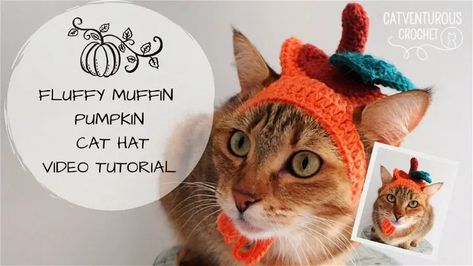 Pumpkin Cat Hat Crochet, Free Cat Hat Pattern Crochet, Cat Pumpkin Hat Crochet, Crochet Pumpkin Hat For Cat, Crochet Hat For Cat Pattern Free, Crochet Hat For Cat, Muffin Pumpkin, Cat Hat Crochet, Pumpkin Hat Pattern