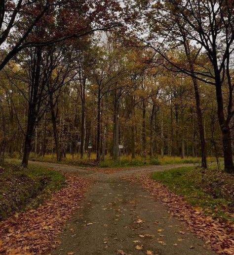 Foto Muro Collage, Fall Mood Board, Season Of The Witch, Best Seasons, Fall Aesthetic, Autumn Cozy, We Fall In Love, Autumn Aesthetic, On The Ground