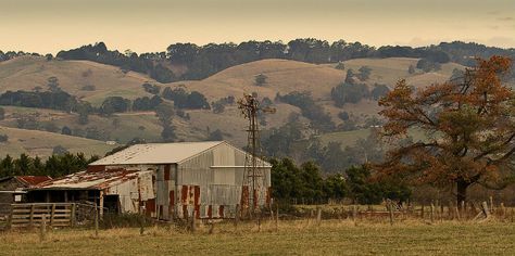 Rural Australia: The Perfect Setting For Mystery | CrimeReads Pesticide Free Gardening, Rural Living, Dark Wood Stain, Organic Gardening Tips, Rustic Theme, Victoria Australia, Organic Farming, Farm Life, Organic Gardening