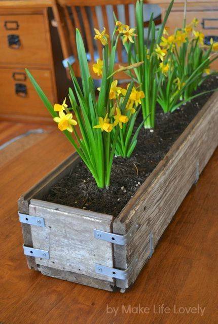 DIY Rustic Wood Planter Box / nice and easy project to do right now for flower bulbs Scrap Wood Flooring Projects, Diy Wood Planter Box, Diy Wood Planters, Koti Diy, Diy Planter Box, Rustic Planters, Pallet Planter, Wood Planter, Indoor Vegetable Gardening