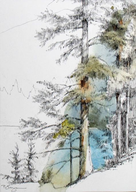 Drawing Zen Bloedel Reserve, Forest Sketch, Tree Artwork, Watercolor Painting Techniques, Watercolor Landscape Paintings, Watercolor Trees, Abstract Art Landscape, Landscape Drawings, Tree Drawing