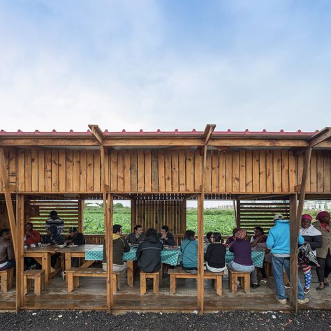 Gallery - Community Kitchen of Terras da Costa / ateliermob + Colectivo Warehouse - 27 Outdoor Community Kitchen, Community Kitchen, Communal Kitchen, Family Compound, Cooking Design, Architecture Drawing Plan, Soup Kitchen, Student House, Community Space