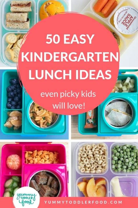 Kindergarten Lunch Ideas, Easy School Lunch Ideas, Kindergarten Lunch, Ideas For Kindergarten, Preschool Lunch, Easy School Lunches, Picky Kids, Healthy Lunches For Kids, Toddler Lunches