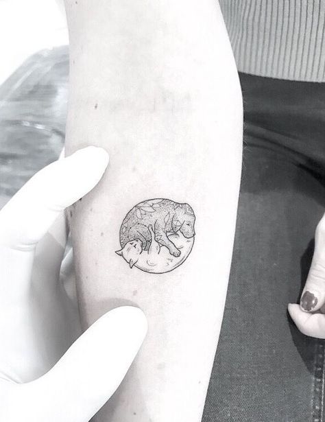 Cat Dog Yin Yang Tattoo, Dog Yin Yang Tattoo, Cat Yin Yang Tattoo, Dog And Cat Tattoos, Yin Yang Cat Tattoo, Yin And Yang Tattoo Ideas, Dog And Cat Tattoo Together, Two Dogs Tattoo, Two Cat Tattoo